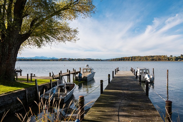 的足球赛事 的足球赛事