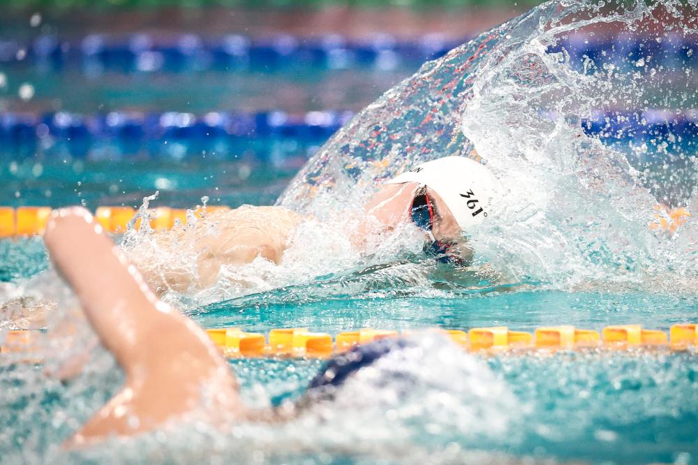 纳利一样 纳利一样