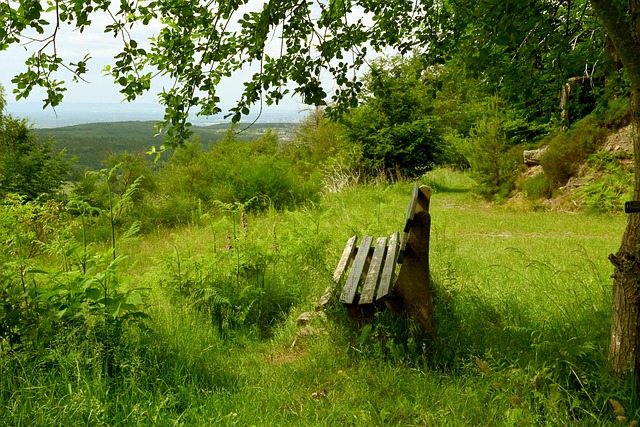 掘金的较量 掘金的较量