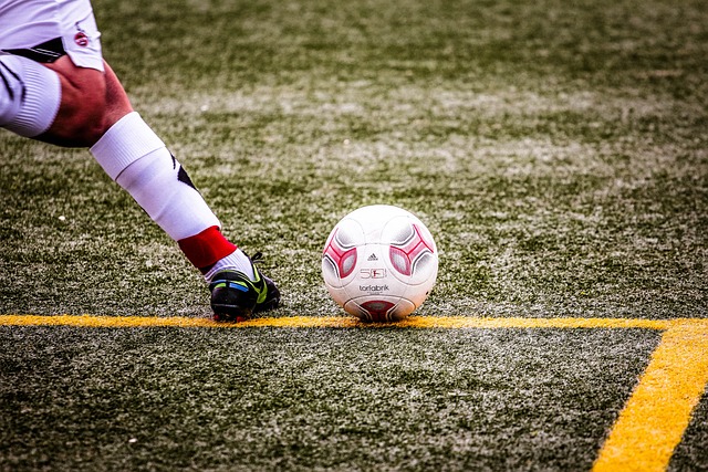 仅汇聚了国 仅汇聚了国